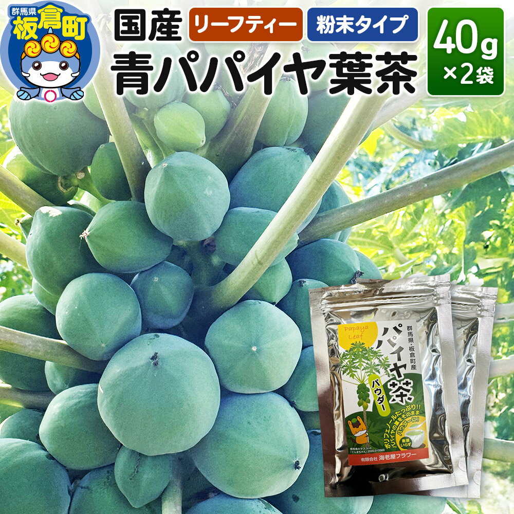 【ふるさと納税】群馬県板倉町産 青パパイヤ葉茶（40g×2袋）リーフティー 粉末タイプ 国産 フルーツ 果物 南国 トロピカル