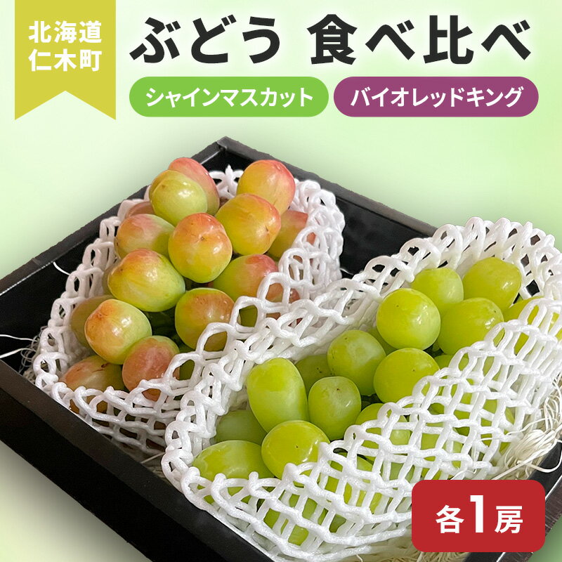 【ふるさと納税】[先行受付] 北海道 仁木町 ぶどう 食べ比べ 各1房 シャインマスカット バイオレッドキング ブドウ マスカット 果物 くだもの フルーツ [嶋田茂農園]　お届け：2026年9月下旬～2025年10月下旬
