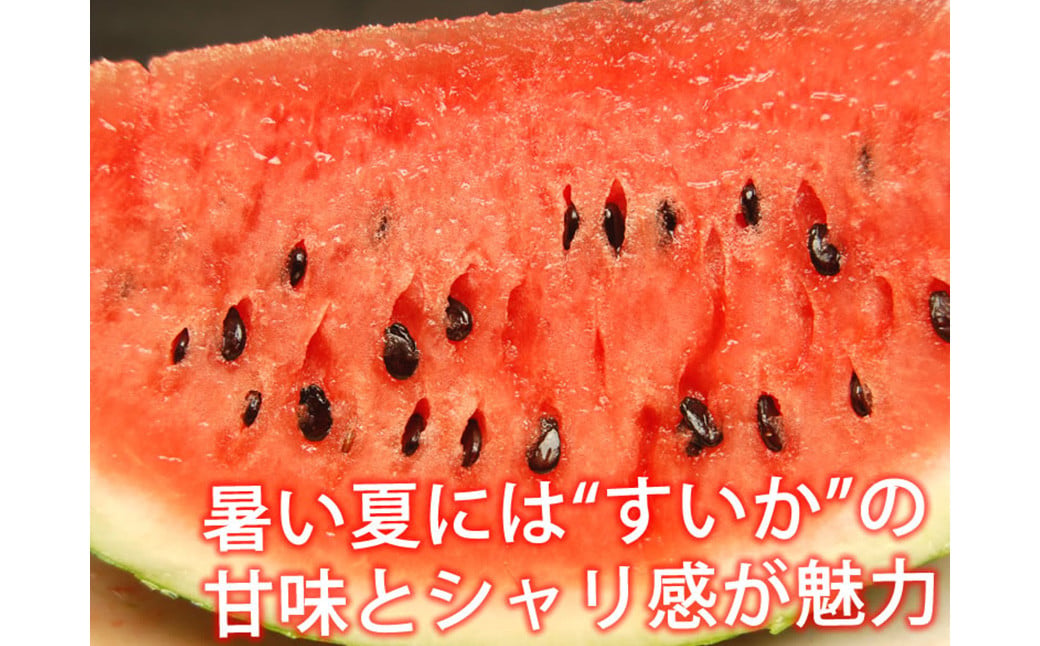 訳あり 小玉すいか 2玉 約2～3kg 送料無料 熊本すいか すいか 西瓜 ひとりじめ 果物 フルーツ 【2026年5月下旬～7月下旬発送予定】