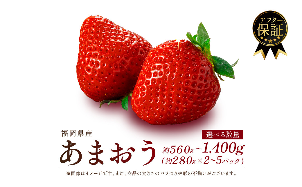 
            【2026年発送 選べる発送月】 苺 あまおう 560g~1.4kg (280g×2~5P) いちご あまおう 福岡県産苺 いちご あまおう イチゴ 苺 あまおう 苺 数量限定 苺 いちご あまおう 福岡県産 苺 いちご あまおう ONE001-oya 【1月上旬より順次出荷】 
          