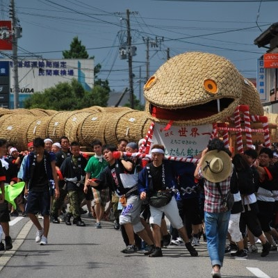 
思い出花火 打ち上げ＜亀(7号)＞(えちごせきかわ大したもん蛇まつり花火大会)【1312844】
