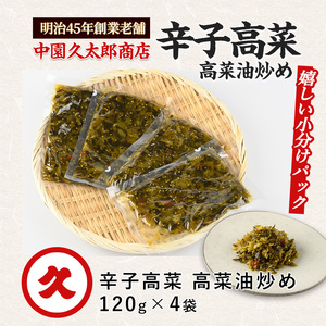 辛子高菜 高菜油炒め480g(120g×4P)中園久太郎商店 IB016-004 高菜 高菜