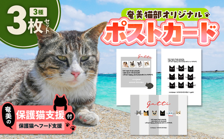 【 奄美 の 保護猫支援 （ 保護猫 フード 10日分 ）】 ＋ ポストカード 3枚 セット A071-006 お手紙 猫デザイン 3種 オリジナルポストカード 保護猫プロジェクト cafeCOVOTANA ふるさと納税 鹿児島 奄美市 おすすめ ランキング プレゼント ギフト