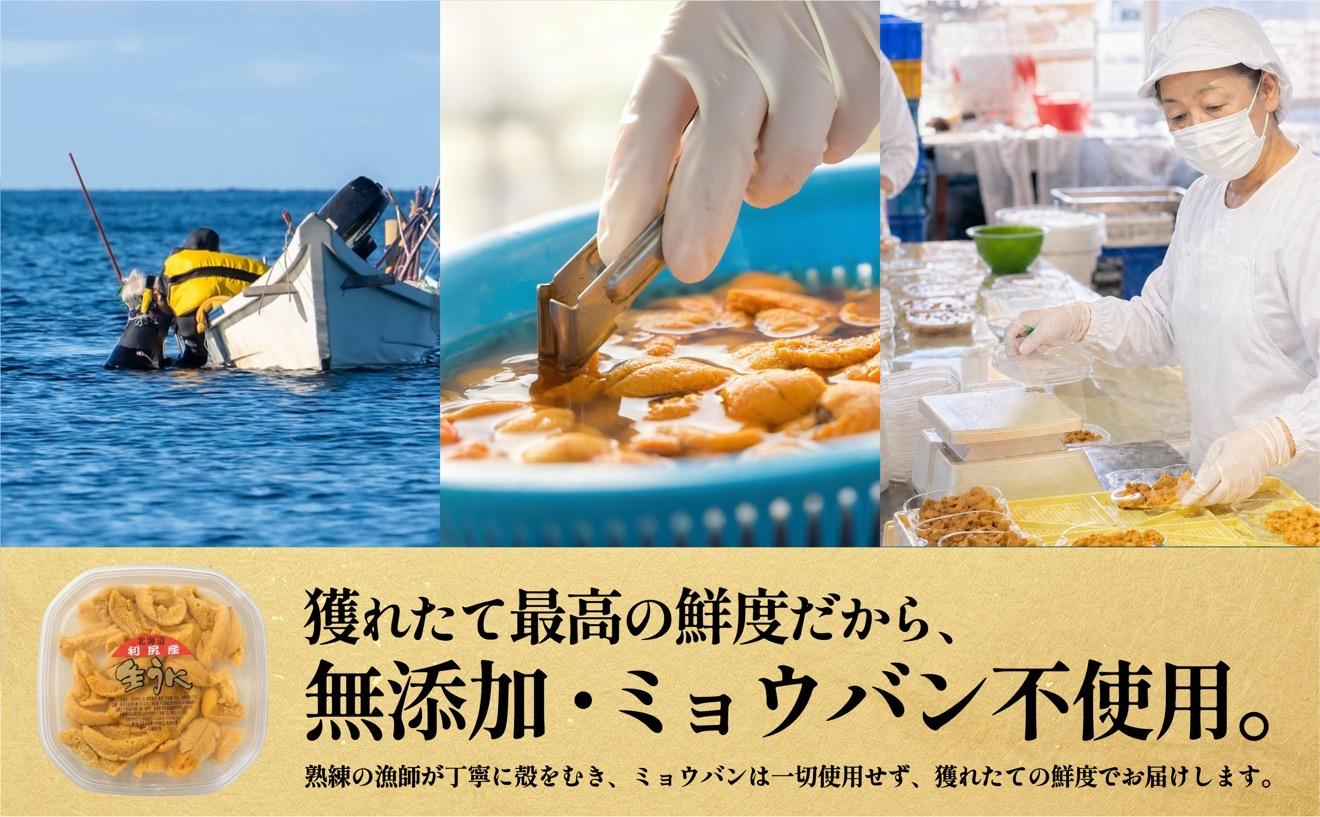 【2026年発送受付】利尻昆布育ちの天然生うに 塩水キタムラサキ 360g (90g×4p)｜北海道 朝獲れ 塩水 ウニ 無添加 ミョウバン不使用 生 うに 雲丹 国産 天然 利尻 キタムラサキ [1