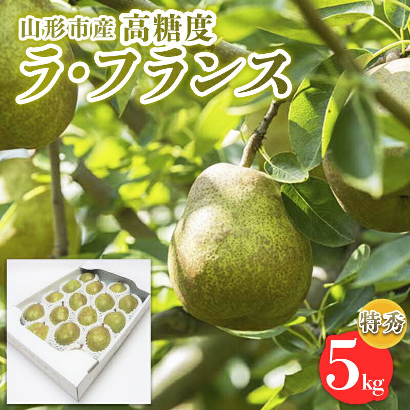 【ふるさと納税】山形市産【高糖度ラフランス】特秀品 5kg (10～18玉) 極上フルーツ 洋梨 山形 【令和7年産先行予約】FS24-822