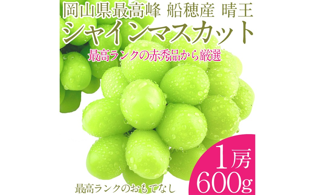 
            プレミアムシャインマスカット晴王 船穂Ver  赤秀ぶどう1房 約600g 【先行予約：2026年9月上旬～10月下旬発送予定】 船穂産 岡山県最高産地 赤秀品以上 岡山県産 皮ごと食べる みずみずしい 糖度保証 クール発送 満天フルーツ 倉敷市
          