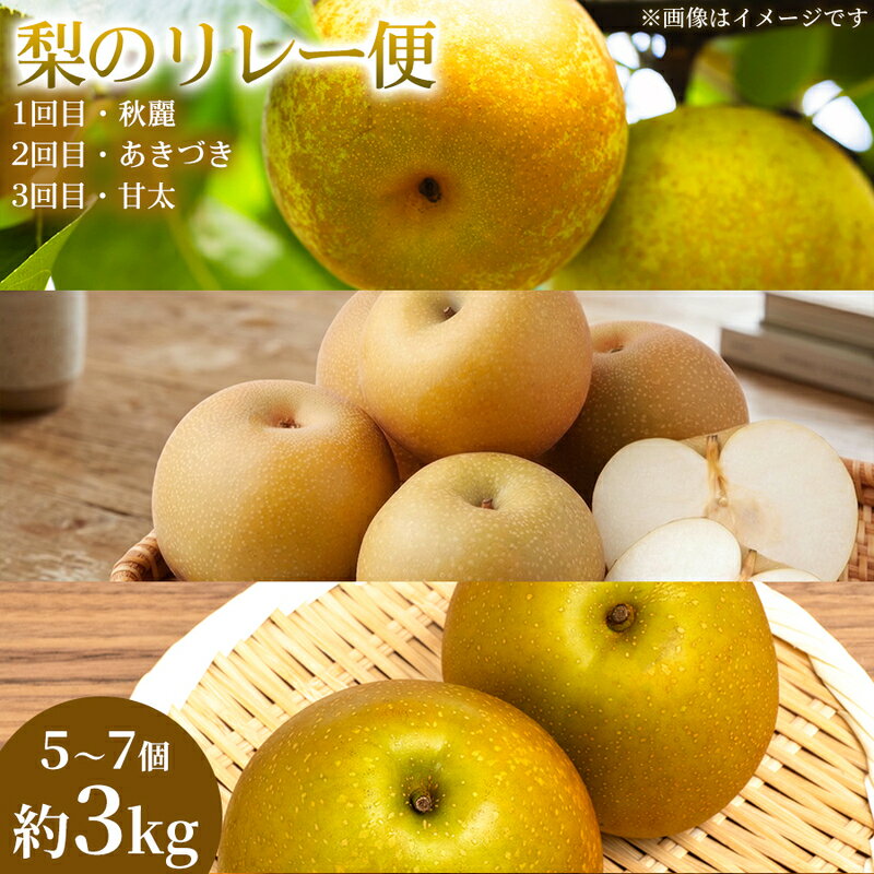 【ふるさと納税】【旬の梨を味わう】熊本県産 リレー便 (各5～7個)(約3kg)(1回目)秋麗(2回目)あきづき(3回目)甘太 梨 フルーツ 詰め合わせ 食べ比べ 甘い 濃厚 農家直送 ギフト 贈答用 家庭用 お取り寄せ 熊本県　お届け：2026年8月15日～2026年10月31日