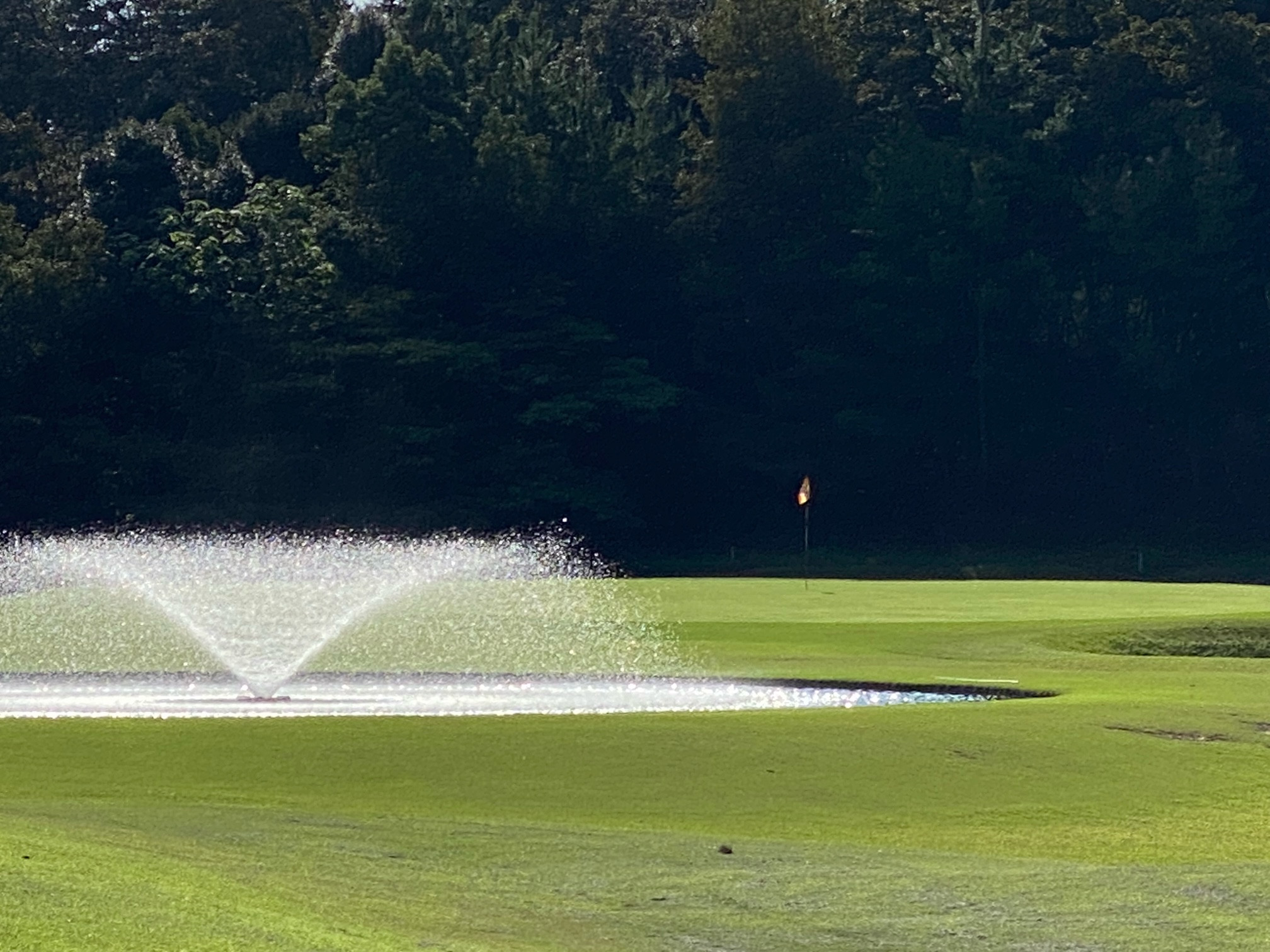 
19-4_犬山カンツリー倶楽部 倶楽部利用券（５枚） | 犬山カンツリー ゴルフ ゴルフ場 ゴルフ場利用券 利用券 ゴルフチケット チケット お出かけ 犬山 体験 小旅行 休暇 愛知 岐阜 尾張 名古屋
