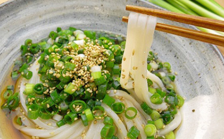 うどん つゆ セット 讃岐のねぎ うどんセット 丸亀 讃岐 讃岐うどん さぬきうどん 半生うどん ぶっかけ 麺類 加工食品 惣菜