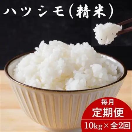 【毎月定期便】岐阜県産ハツシモ(精米) 10kg全2回【配送不可地域：離島】【4076382】