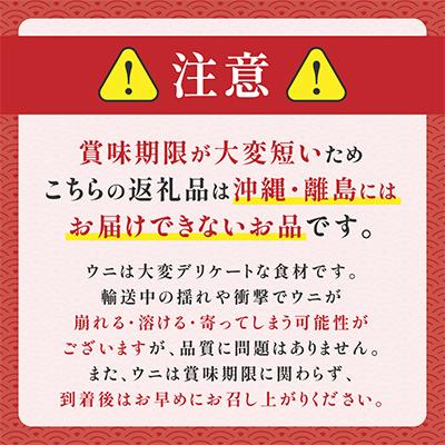 ふるさと納税 登別市 【2025年夏発送】無添加 塩水きたむらさきうに 100g×1p |  | 03