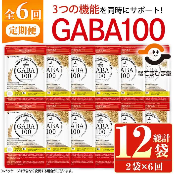 No.1286-B ＜定期便・全6回(隔月)＞GABA100(1袋 62粒入・2袋×6回 計12袋) 鹿児島 日置市 健康食品 機能性表示食品 サプリ 栄養バランス 食生活 安心安全 デスクワーク ストレス緩和 高血圧 定期便 頒布会【てまひま堂】
