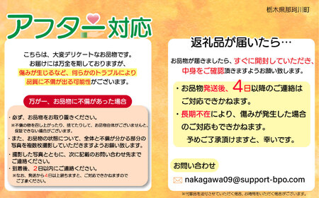 【先行予約】那珂川町産とちあいか 270ｇ×4Ｐ | 2025年 2026年 先行予約 苺 イチゴ 大粒 甘い 贈答用 数量限定 果物 フルーツデザート 人気 贅沢 たっぷり 大容量 朝採れ当日発送 