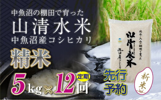 【ふるさと納税】【定期便／全12回】精米5kg　新潟県魚沼産コシヒカリ「山清水米」十日町市 米　お届け：寄附入金確認後、順次発送します。