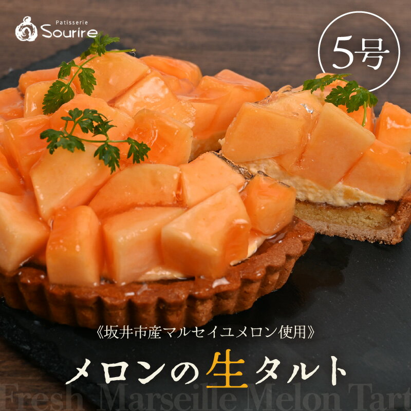 【ふるさと納税】【数量限定】サクサク食感 マルセイユメロンのフレッシュタルトケーキ 5号：直径15cm (4〜5人前) 850g 【めろん ケーキ メロンケーキ ホール たると スイーツ デザート 果物 フルーツケーキ 洋菓子 贈答 ギフト】