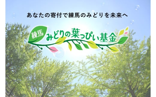 【返礼品なし】練馬のみどりを守りたい！（練馬みどりの葉っぴい基金）　練馬のみどり全般を守り育む