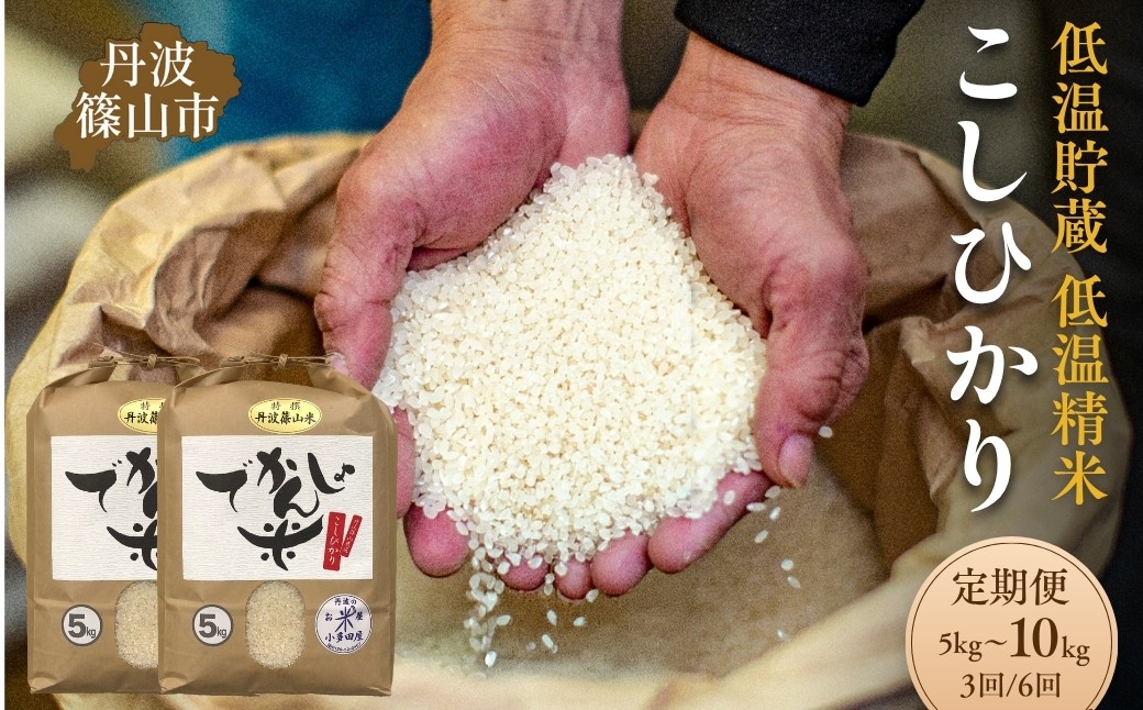 
                  【定期便3回 6回】令和7年産 丹波篠山市 コシヒカリ でかんしょ米 5kg 10kg × 3回  6回 低温貯蔵 香り豊か 旨み抜群 お米 こめ コメ 兵庫県
                