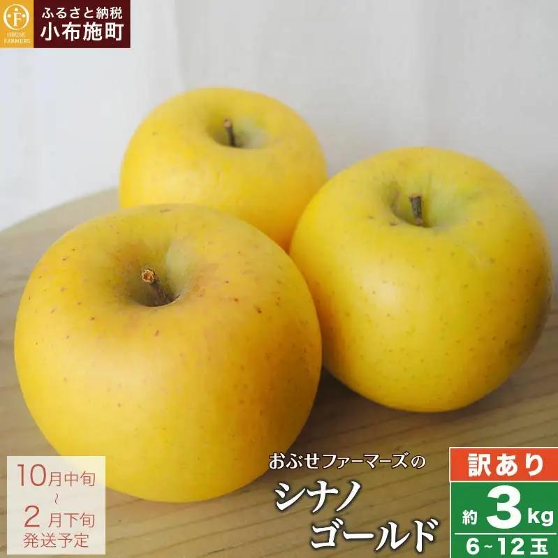 【訳あり】 シナノゴールド 約3kg 6～12玉 ［おぶせファーマーズ］ 不揃い 規格外 家庭用  果物 フルーツ りんご 林檎 リンゴ 長野県産 信州産 令和8年産 【2026年10月中旬～2027年1月上旬発送】 ［FH-53］