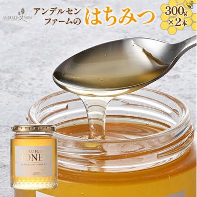 ふるさと納税 北広島町 アンデルセンファームのはちみつ2個(300g×2)