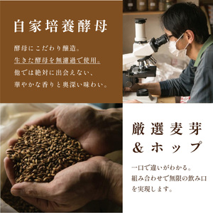 クラフトビール 自家培養酵母  飲み比べ（5種6本） ビール [ZIG01]