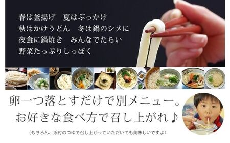 丸亀からお届け！元祖さぬきゆでうどん　10人前
