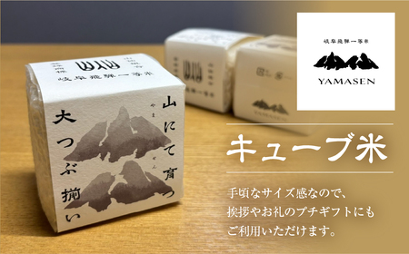新米予約受付【令和7年産米】すがたらいす 山仙 (いのちの壱) キューブ米 12個 （1個 300g（2合））真空包装 プチギフト ギフト 小分け お裾分け 下呂市金山産 2025年産 お米 精米 米