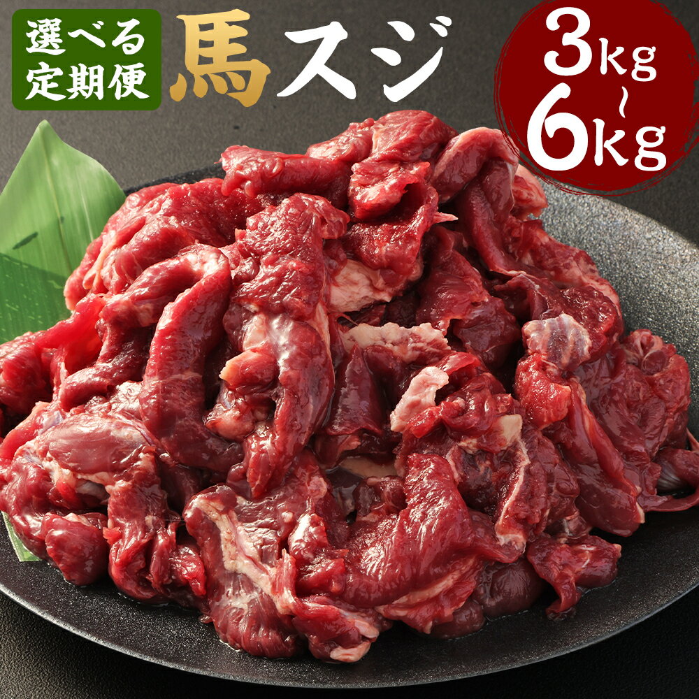 【ふるさと納税】【選べる定期便】馬スジ 1回あたり約1kg（約500g×2）3ヶ月／6ヶ月 計約3kg 計約6kg 馬すじ 馬肉 スジ肉 すじ肉 肉 お肉 煮込み料理 カレー 料理用 冷凍 お取り寄せ グルメ 九州 熊本県 水上村 送料無料