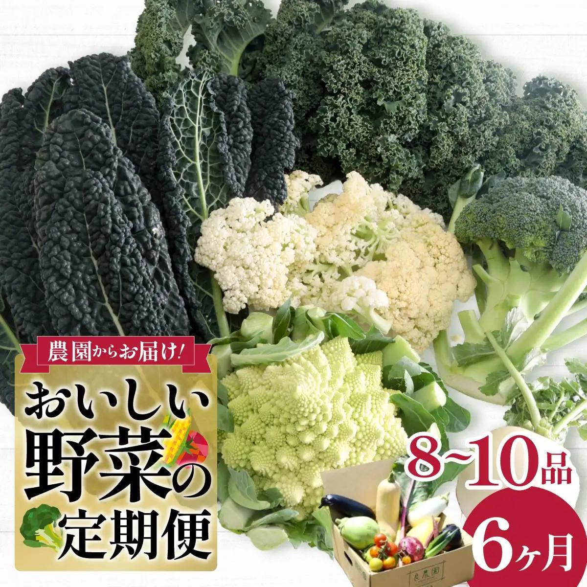 西洋野菜 一般野菜 旬野菜セット 8～10品 定期便 6ヶ月 | やさい