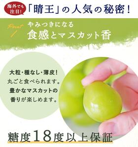 岡山県産　シャインマスカット『晴王』2房(1房480g以上) 化粧箱入り