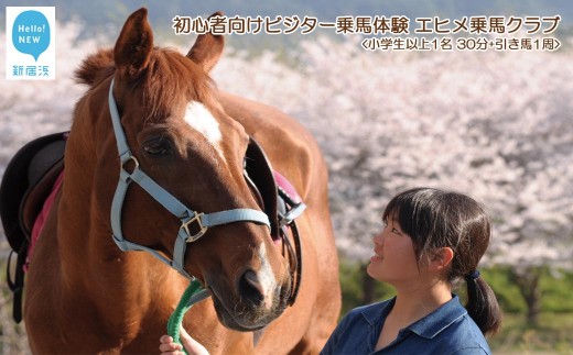 
初心者向け　ビジター乗馬体験　エヒメ乗馬クラブ（小学生以上1名 30分+引き馬1周）
