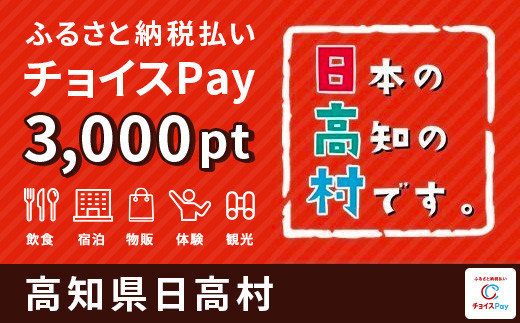 
日高村 チョイスPay 3,000ポイント【会員限定のお礼の品】
