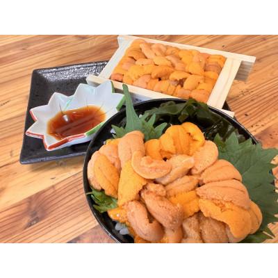 ふるさと納税 網走市 先行予約・旬の蝦夷バフン雲丹2折セット50g×2折・冷蔵便届け |  | 01