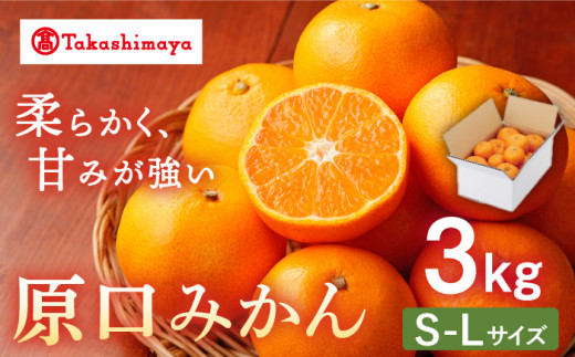 みかん 【高島屋選定品】【九州屋】【先行予約】原口みかん3kg（S～Lサイズ）＜高島屋＞ 限定数100 [CFQ055] みかん みかん ミカン 柑橘 果物 みかん