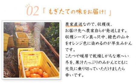 早生みかん 約5kg 大小混合 《ご家庭用》 和歌山県産 農園直送 まごころ産直みかん 【北海道・沖縄県・一部離島 配送不可】ちょっと訳あり ミカン 蜜柑 温州みかん わけあり 訳アリ ［Mg14］