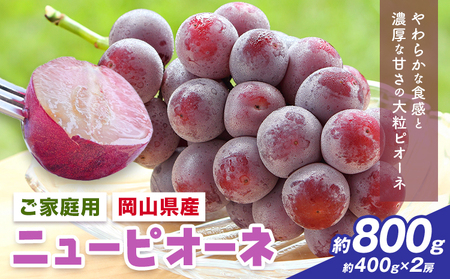 【先行予約】岡山県産 ご家庭用 ニューピオーネ詰合せ 計800g 株式会社はちや《8月下旬-9月下旬頃出荷》送料無料【配送不可地域あり】
