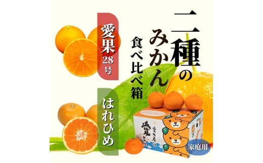 【2026年12月頃から順次発送】二種のみかん食べ比べ箱 【愛果 28 号・はれひめ】 約 1.5kg 家庭用 みかん  蜜柑 柑橘 果物 くだもの フルーツ お取り寄せ グルメ 期間限定 数量限定 人気 おすすめ 愛媛県 松山市