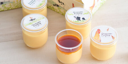 Y1001 【豪華11種詰め合わせ】大江ノ郷ふるさと食づくしセット【無添加スイーツ＆自家製グルメ】