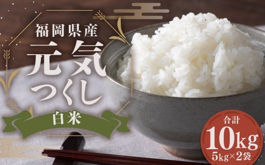 福岡県産 【特A】 評価のお米 元気つくし 5kg × 2袋 （10kg） 【白米】 米 お米 こめ コメ ごはん ご飯 令和7年度米 ふるさと納税米 単一原料米 ブランド米 福岡県 嘉麻市 常温