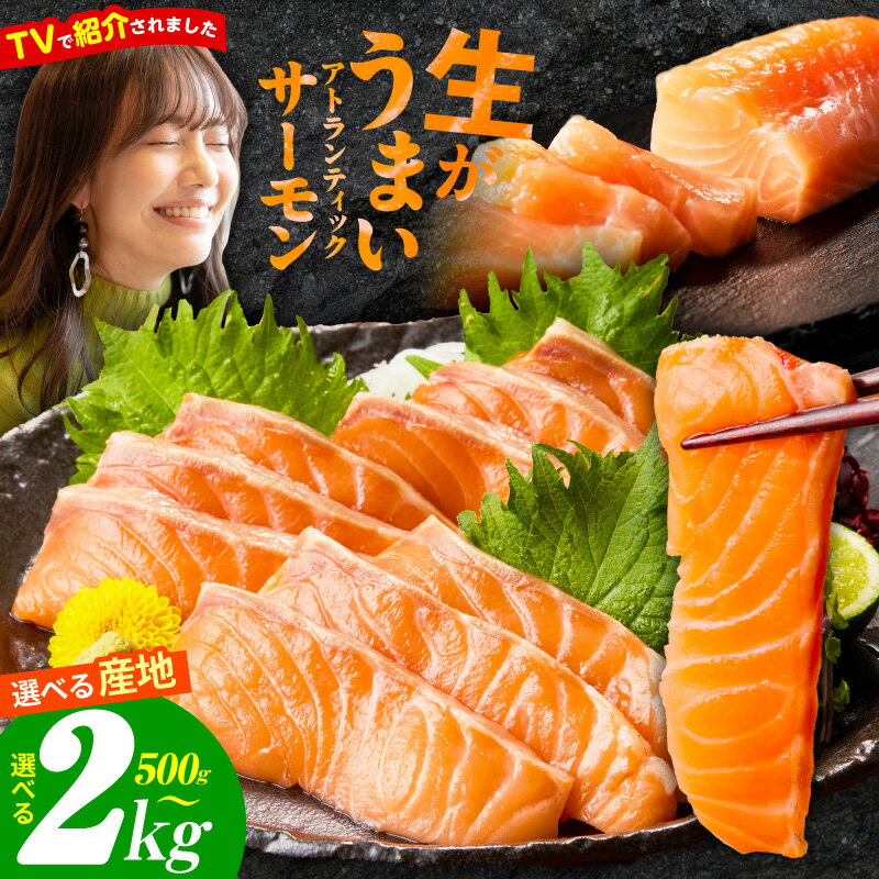 【高評価★4.71】アトランティックサーモン 刺身用 ポーション サーモン 鮭 小分け 真空パック ブロック 柵 魚 鮮度抜群 海鮮 魚介類 生食 カルパッチョ 食品 泉佐野市 お取り寄せ お取り寄せグルメ 冷凍 送料無料