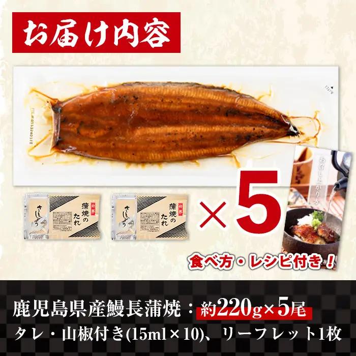 鹿児島県産 うなぎ蒲焼 特大 サイズ 5尾（約220g×5・計約1100g）【薩摩川内鰻】 i1078-C