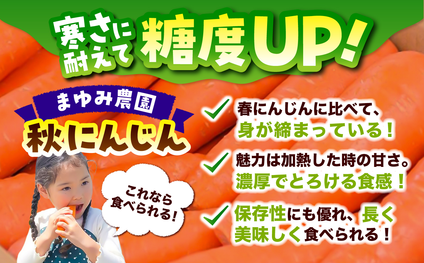 【先行予約】【2026年12月順次発送開始】秋にんじん5kg / にんじん ニンジン 野菜 β-カロテン 食物繊維 抗酸化作用 栄養満点 熊本県産 菊陽町　【株式会社 まゆみ農園】 [BHCW015]