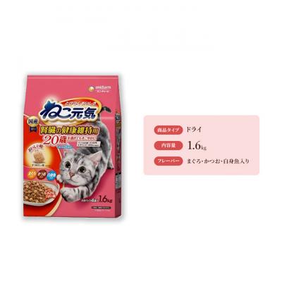 ふるさと納税 伊丹市 ねこ元気 20歳を過ぎてもすこやかに まぐろ・かつお・白身魚入り[54030478]