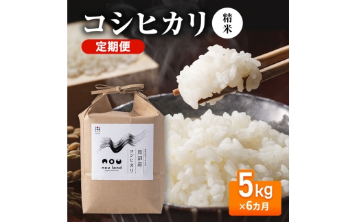 【先行予約】令和8年産 定期便 コシヒカリ精米5kg×6カ月