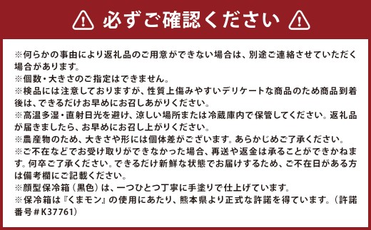 ミニトマト 約1kg入り くまモンの全身型保冷箱入り （ 白色 ）