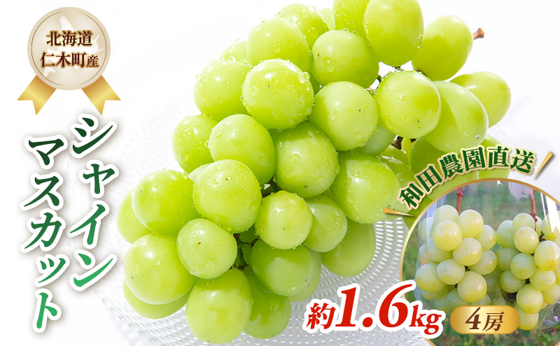 [先行受付] 北海道 仁木町産 シャインマスカット 約1.6kg 4房（1房400g前後） 果物 ぶどう フルーツ 果物類 ブドウ シャインマスカット マスカット [和田農園]