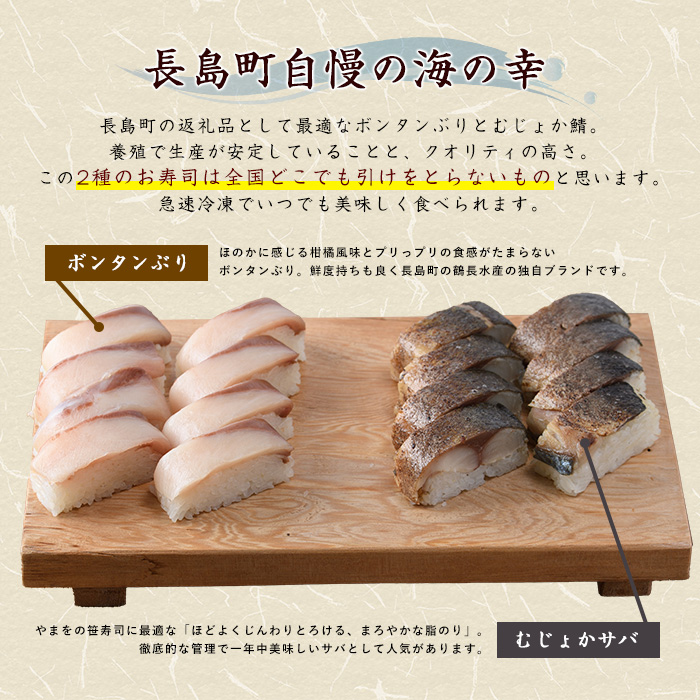 冷凍押し寿司二種セット 国産 ブリ ぶり 鯖 サバ さば お寿司 スシ おうち時間 簡単解凍 詰め合わせ 贈り物【やまを】yamawo-1435