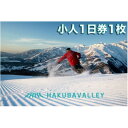 【ふるさと納税】HAKUBA VALLEY 10 スキー場共通リフト券【小人1日券1枚】【1560078】