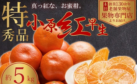 小原紅早生 みかん 真っ赤な 香川県産 小原紅早生【約5kg】【先行予約】