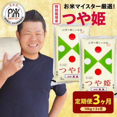 ふるさと納税 米沢市 【 3ヶ月定期便 / 令和7年産 】 特別栽培米 つや姫 計10kg/月 ( 1回配送 5kg×2袋