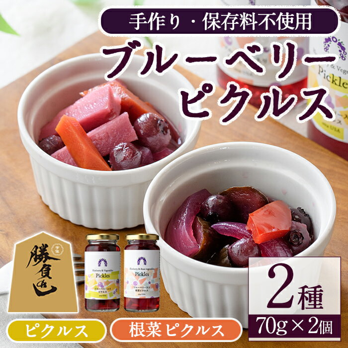 【ふるさと納税】ブルーベリーピクルス(2種・各70g) フルーツ ブルーベリー ピクルス 根菜【116500200】【藍苺GARDEN イロハノホトリ】